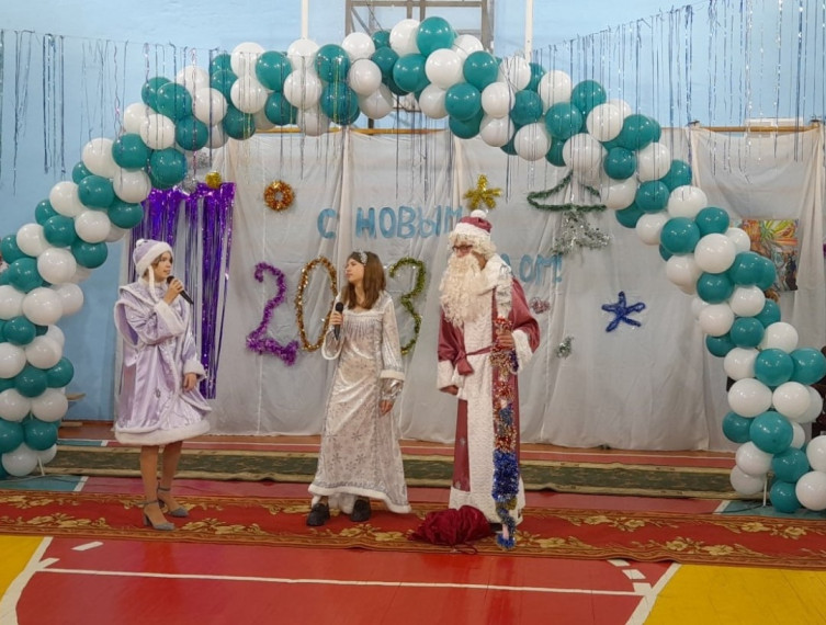Акция "Новогодние окна".
